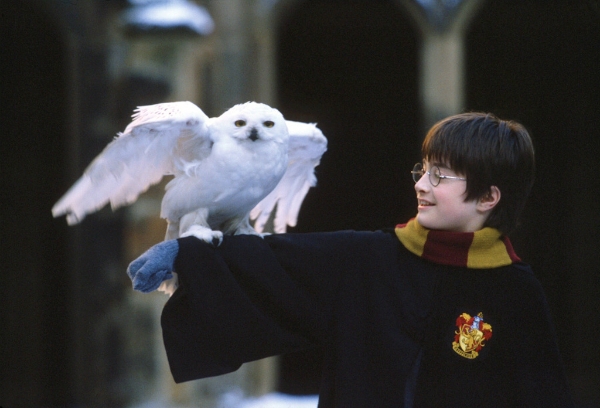
	
	Năm 2001, Daniel Radcliffe đã được biết đến rộng rãi qua vai diễn đầu tay Harry Potter trong loạt phim ăn khách cùng tên. Hình ảnh cậu bé với đôi mắt sáng cùng cặp kính tròn quen thuộc đã đi vào tâm hồn của rất nhiều người hâm mộ loạt phim này.